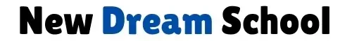 New Dream School